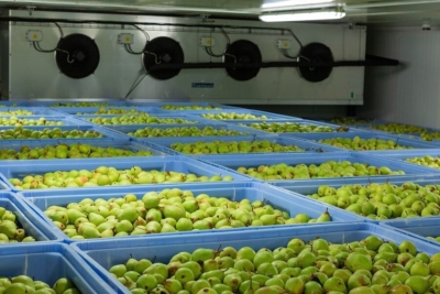 کنترل دوره‌ای دما و رطوبت سردخانه