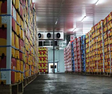 بسته‌بندی بهداشتی و استاندارد یخ