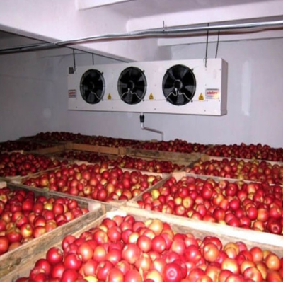 تولید یخ صنعتی و بسته‌بندی بهداشتی با یخ‌سازی مجد در تنکابن