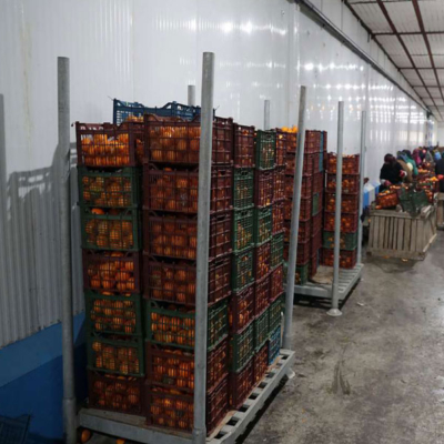 حفظ تازگی میوه‌ها با سردخانه میوه و یخ‌سازی مجد در تنکابن