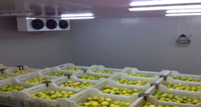 خدمات تخصصی سردخانه و یخ‌سازی با پشتیبانی کامل در مجد